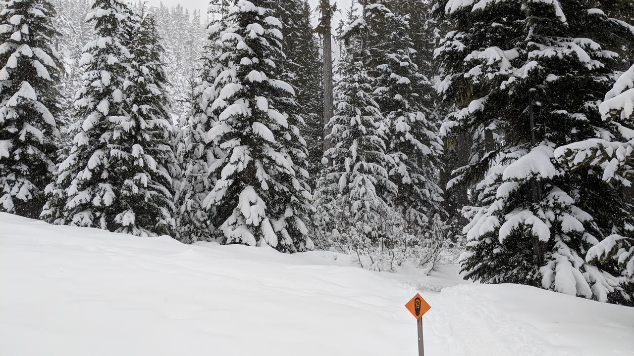 White Pass Log Cabin Luxury Retreat Rimrock 外观 照片