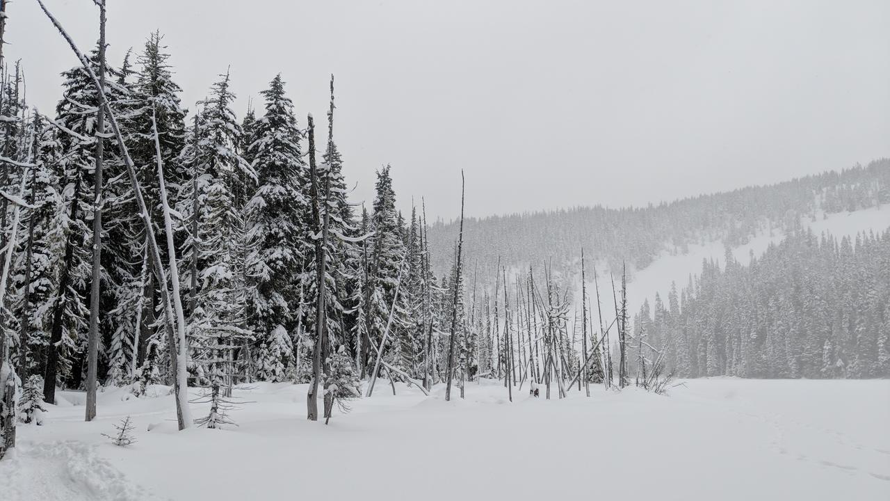White Pass Log Cabin Luxury Retreat Rimrock 外观 照片